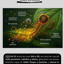 Metabolitos y defensas AX-23