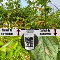 Control de enfermedades